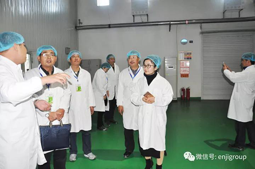 2025年免费资料阅读
