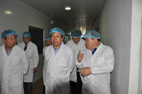 2025年免费资料阅读