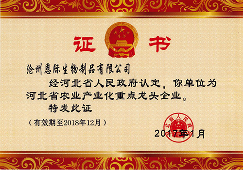 2025年免费资料阅读