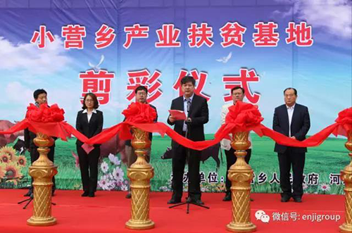 2025年免费资料阅读