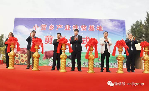2025年免费资料阅读