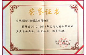 2025年免费资料阅读