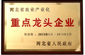 2025年免费资料阅读