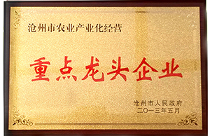 2025年免费资料阅读