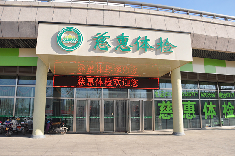 2024年免费资料阅读