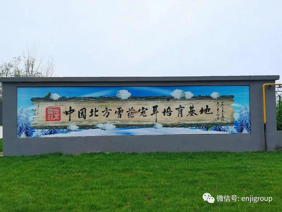 2024年免费资料阅读