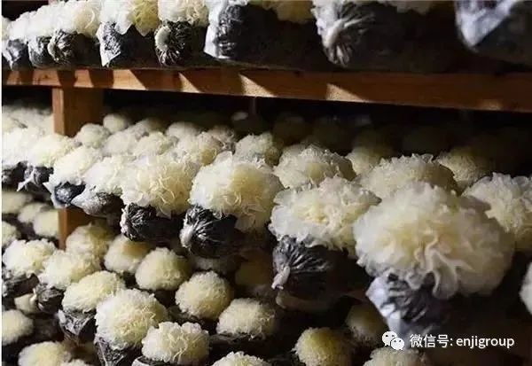2024年免费资料阅读