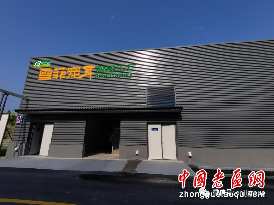 2024年免费资料阅读