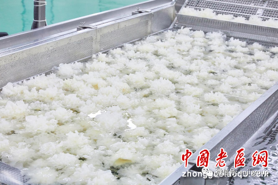 2024年免费资料阅读
