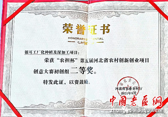 2024年免费资料阅读
