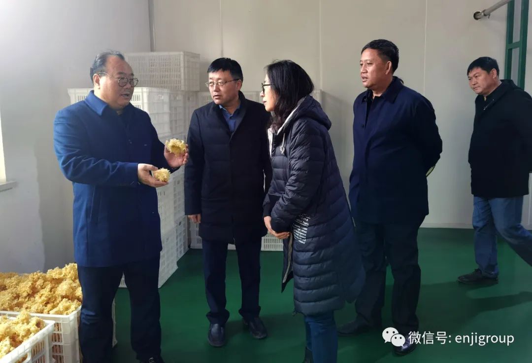 2024年免费资料阅读