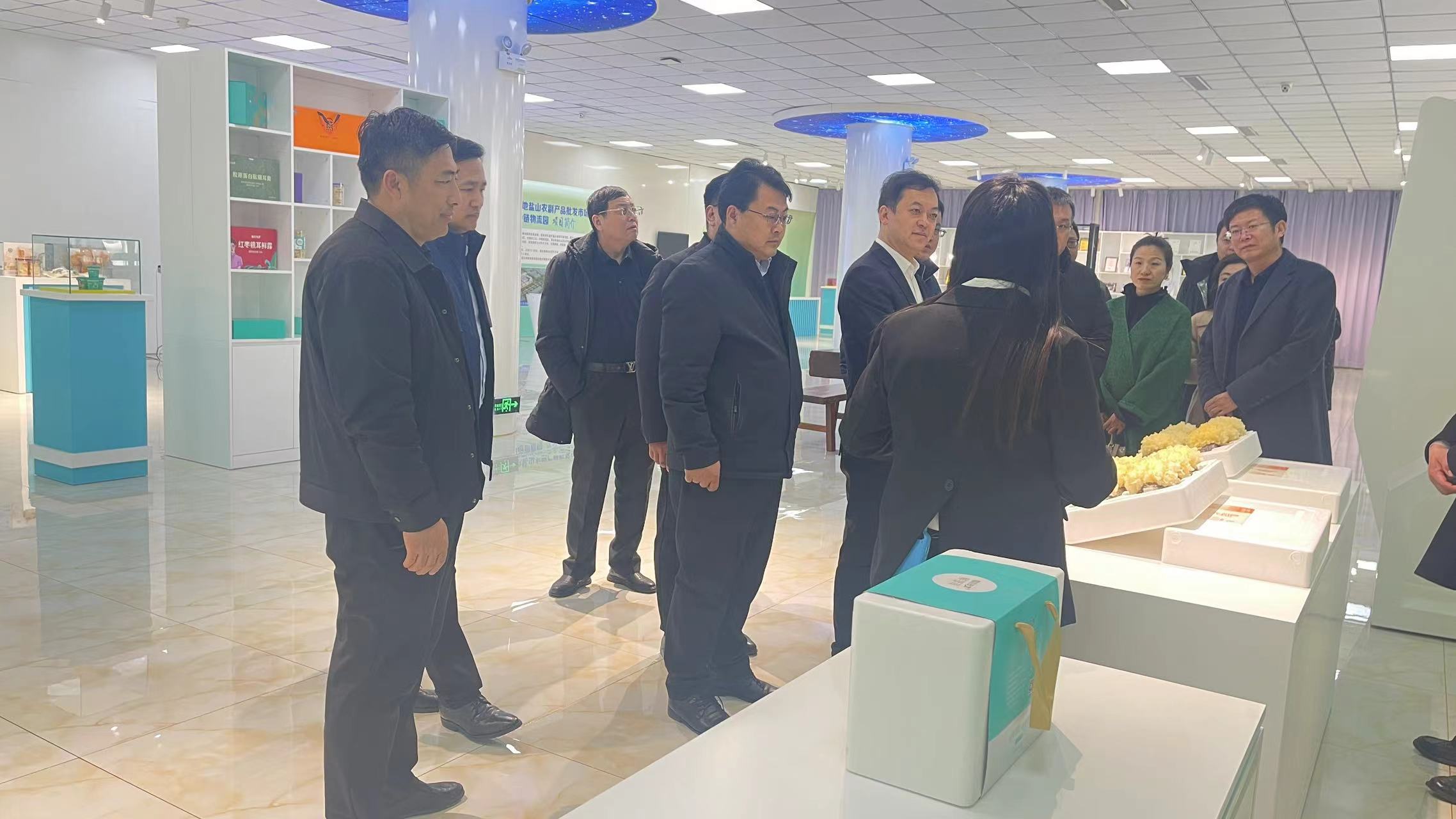 2024年免费资料阅读