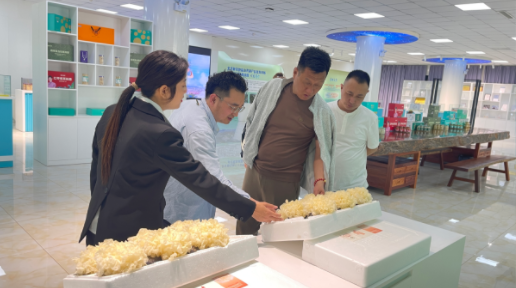 2024年免费资料阅读