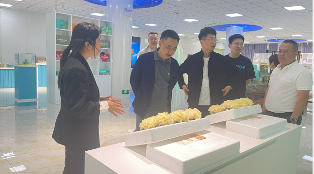 2025年免费资料阅读