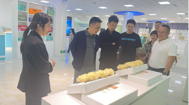 2025年免费资料阅读